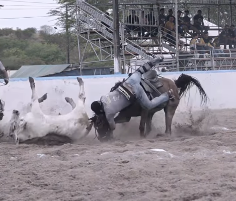 Deputado Walber Virgolino sofre acidente durante Vaquejada em Guarabira