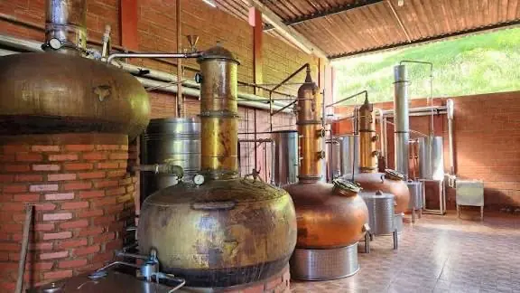 Areia Mostra Cachaça começa nesta quinta e movimenta turismo no Brejo paraibano